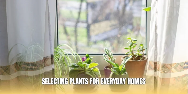 Selecting plants for everyday homes